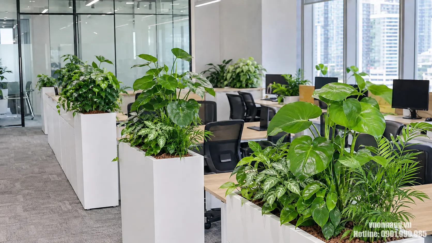 Dịch Vụ Cho Thuê & Chăm Sóc Cây Văn Phòng