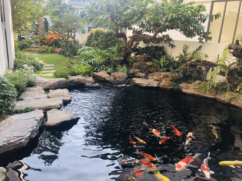 GÓI CƠ BẢN