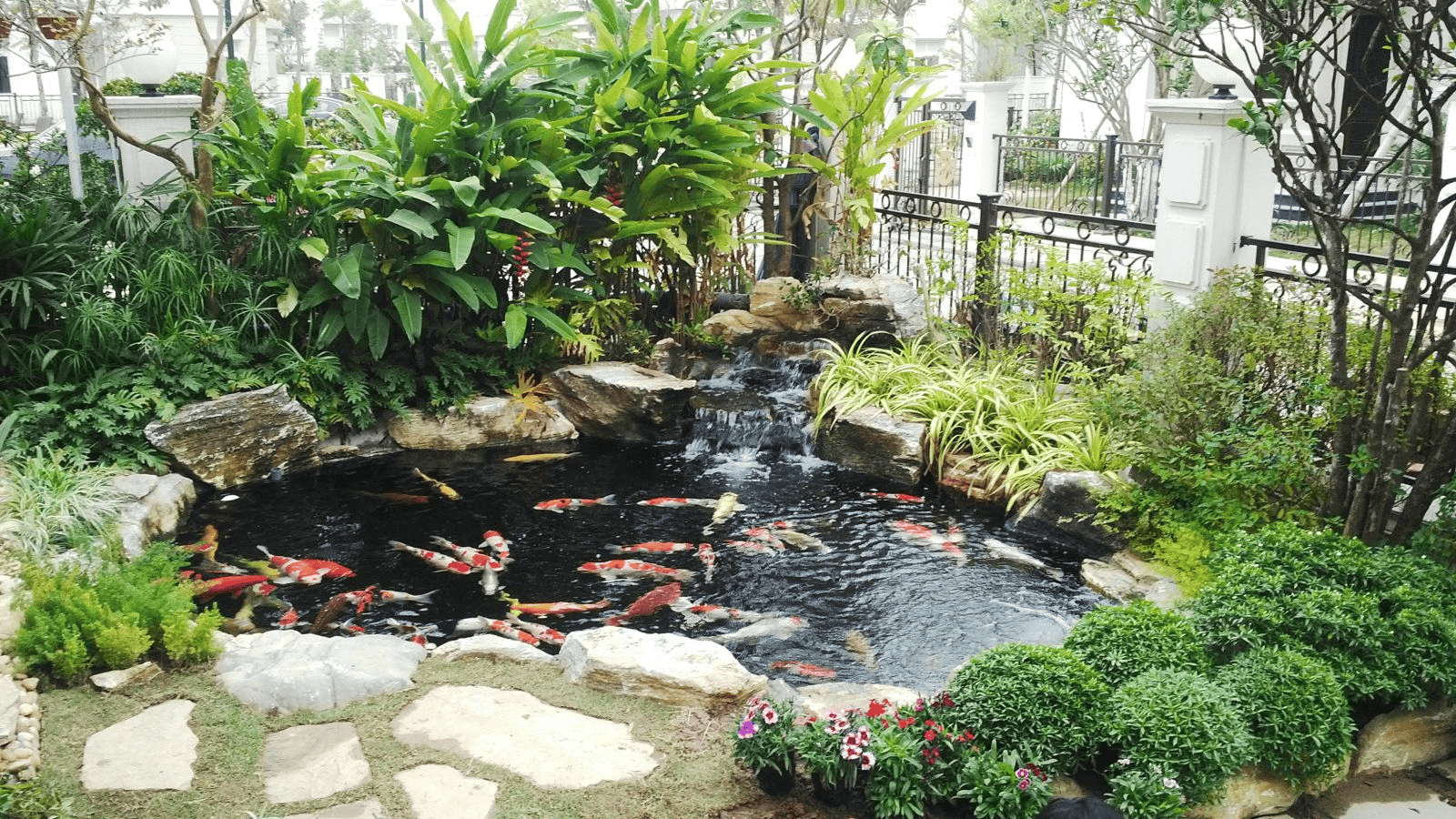 Thiết Kế & Thi Công Hồ Cá Koi, Tiểu Cảnh Nước