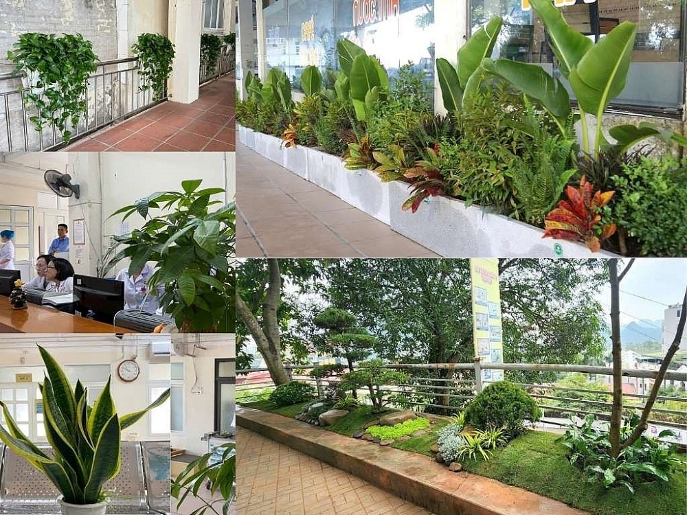 Cây nhà hàng