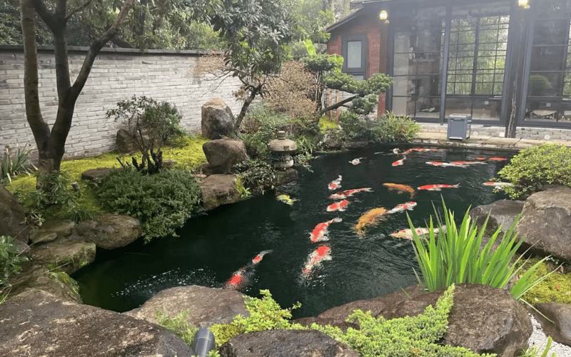 Tiểu cảnh đá nước