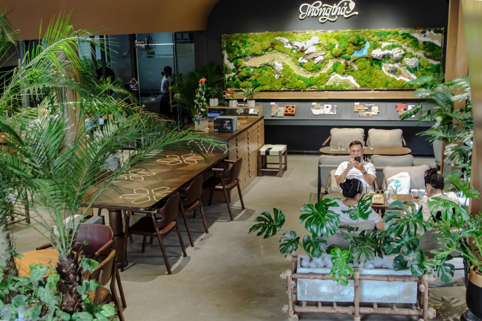 Cây nhà hàng cafe