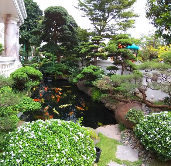 Hồ Koi phong cách Nhật