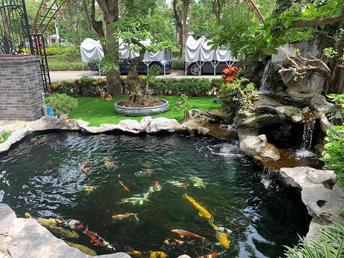 Hồ Koi kết hợp sân vườn