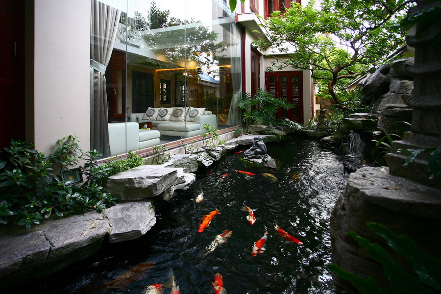 Hồ Koi nhà phố