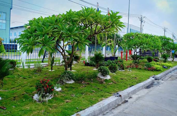Dịch Vụ Cải Tạo Cảnh Quan Công Ty, Nhà Máy & Khu Công Nghiệp