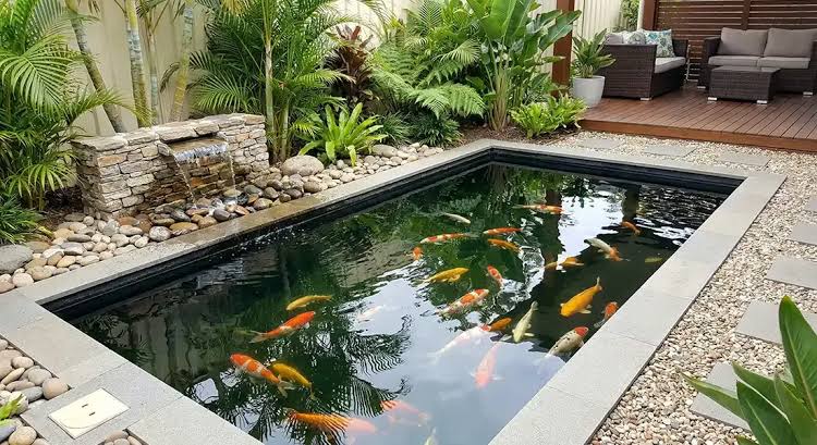 Modern Koi Pond