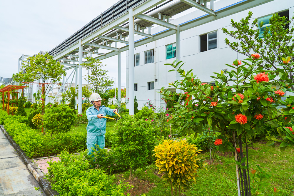 Dịch Vụ Cải Tạo Cảnh Quan Công Ty, Nhà Máy & Khu Công Nghiệp