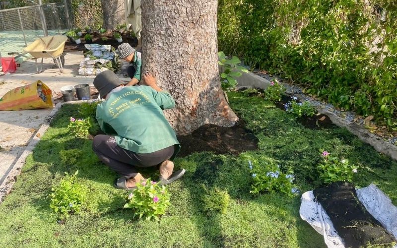 Đội ngũ thi công sân vườn Hoành Nguyễn Garden