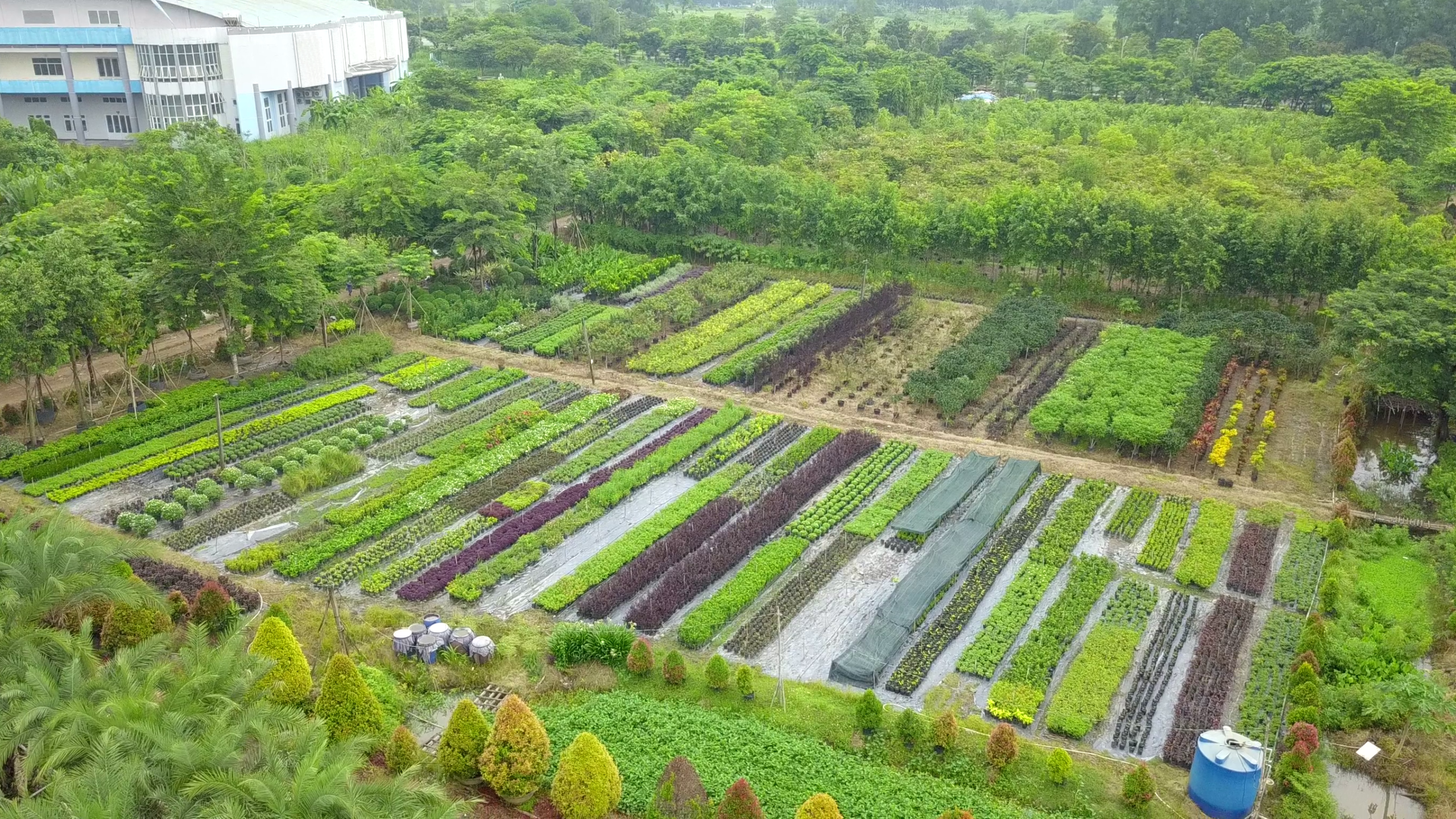 Vườn ươm cây cảnh quan miền Trung